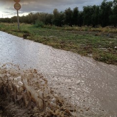 Strade provinciali trascurate e pericolose