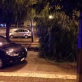 Auto contro albero