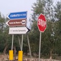 Via Vecchia Spinazzola, una discarica a cielo aperto