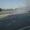 Incendio strada statale ex 98