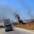 Sterpaglie incendiate sulla provinciale "Andria-Trani": fumo in carreggiata