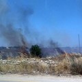 Sterpaglie incendiate sulla provinciale "Andria-Trani": fumo in carreggiata