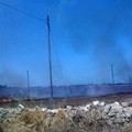 Sterpaglie incendiate sulla provinciale "Andria-Trani": fumo in carreggiata