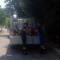 Incendio Montegrosso Andria