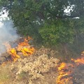 Vasto incendio in contrada San Vittore