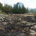 Vasto incendio in contrada San Vittore