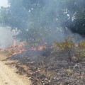 Vasto incendio in contrada San Vittore