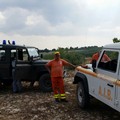 Vasto incendio in contrada San Vittore