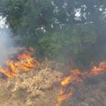 Vasto incendio in contrada San Vittore