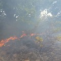 Vasto incendio in contrada San Vittore