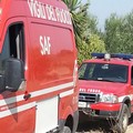 Scomparsa Vassalli, al lavoro i cani molecolari della Polizia