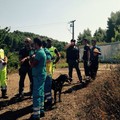 Scomparsa Vassalli, al lavoro i cani molecolari della Polizia