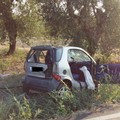 Incidente Bisceglie-Andria