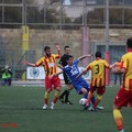 Gallipoli - Fidelis Andria, gli scatti dello 0 a 0 finale