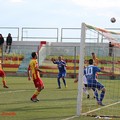 Gallipoli - Fidelis Andria, gli scatti dello 0 a 0 finale