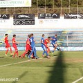 Fidelis Andria - Messina, la fotostory della sconfitta azzurra