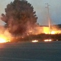 incendi 3 luglio montegrosso canosa 15