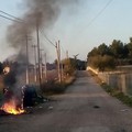 Incendio bidoni campagne andria