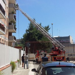 incendio via talamone