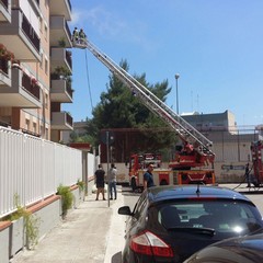 incendio via talamone