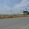 Incendio di sterpaglie in via Trani: visibilità ridotta in Tangenziale