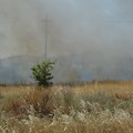 Incendio di sterpaglie in via Trani: visibilità ridotta in Tangenziale