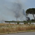 Incendio di sterpaglie in via Trani: visibilità ridotta in Tangenziale