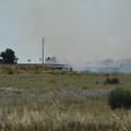 Incendio di sterpaglie in via Trani: visibilità ridotta in Tangenziale