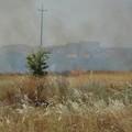 Incendio di sterpaglie in via Trani: visibilità ridotta in Tangenziale