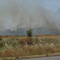 Incendio di sterpaglie in via Trani: visibilità ridotta in Tangenziale