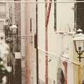 neve