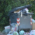 Rifiuti a Castel del Monte, weekend con olezzo e senza raccolta