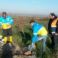 Cane da caccia caduto in un pozzo: salvataggio dei volontari della Misericordia