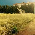 Stadio Sant'Angelo dei Ricchi, situazione drammatica