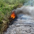 Incendio Strada Provinciale 231 Andria