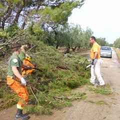 tromba daria boscariello JPG