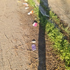 Zona PIP invasa dai rifiuti delle attività della ristorazione