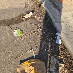 Zona PIP invasa dai rifiuti delle attività della ristorazione