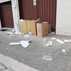 perennemente in ritardo la raccolta carta in via Goffredo Normanno