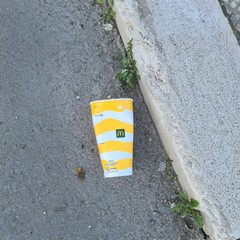 Zona PIP invasa dai rifiuti delle attività della ristorazione