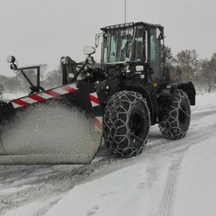 Militari della Pinerolo in azione sulla Murgia innevata