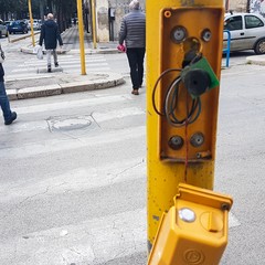 Vandalizzato semaforo pedonale di via Firenze