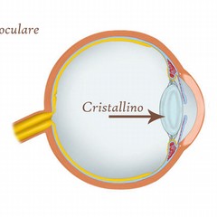 ottica e optometria