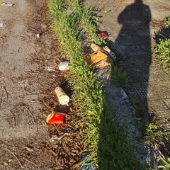 Zona PIP invasa dai rifiuti delle attività della ristorazione