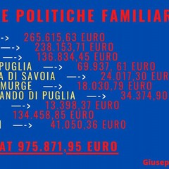 finanziamenti politiche familiari