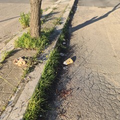 Zona PIP invasa dai rifiuti delle attività della ristorazione