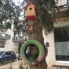 La cura del verde in un condominio di via delle Querce