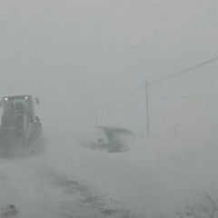 Militari della Pinerolo in azione sulla Murgia innevata