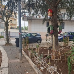La cura del verde in un condominio di via delle Querce