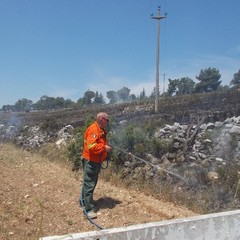 incendio villa e boschetto